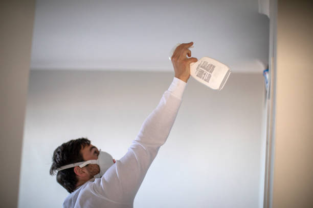 Mold Testing and Removal in South Fulton, GA