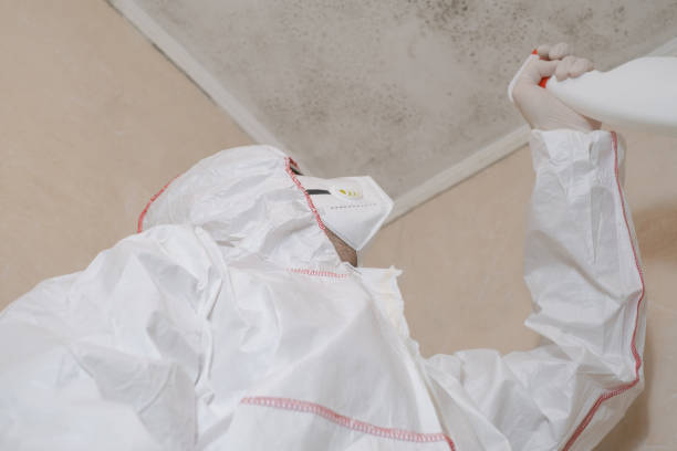 Best Home Mold Removal  in South Fulton, GA